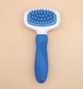 Brosse de Bain en Silicone
